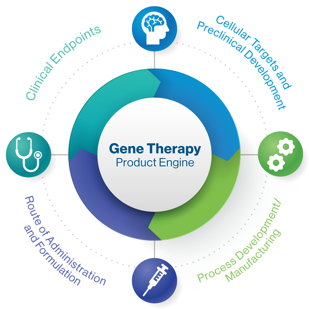 Gene Therapy Product Engine