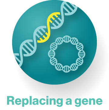 Replacing a gene