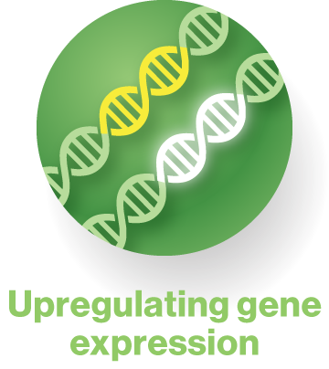 Upregulating gene expression